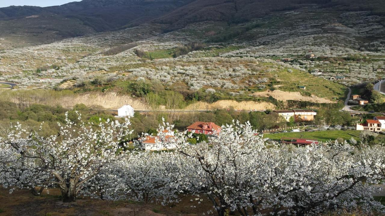 Rincon Del Valle Del Jerte *